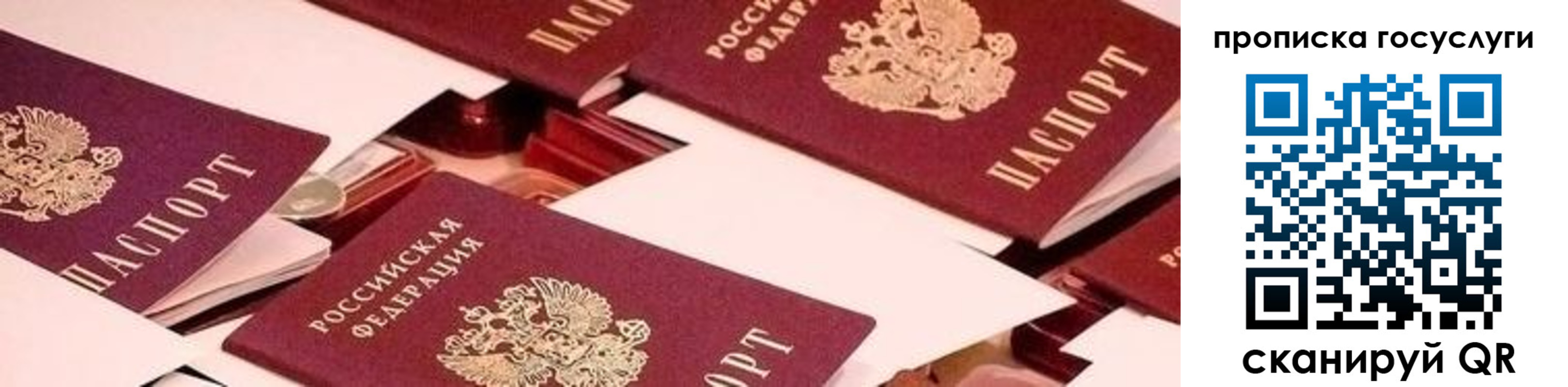 регистрация в Ногинске